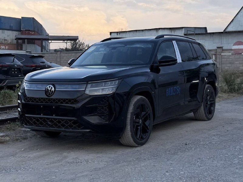 VOLKSWAGEN TERAMONT PRO