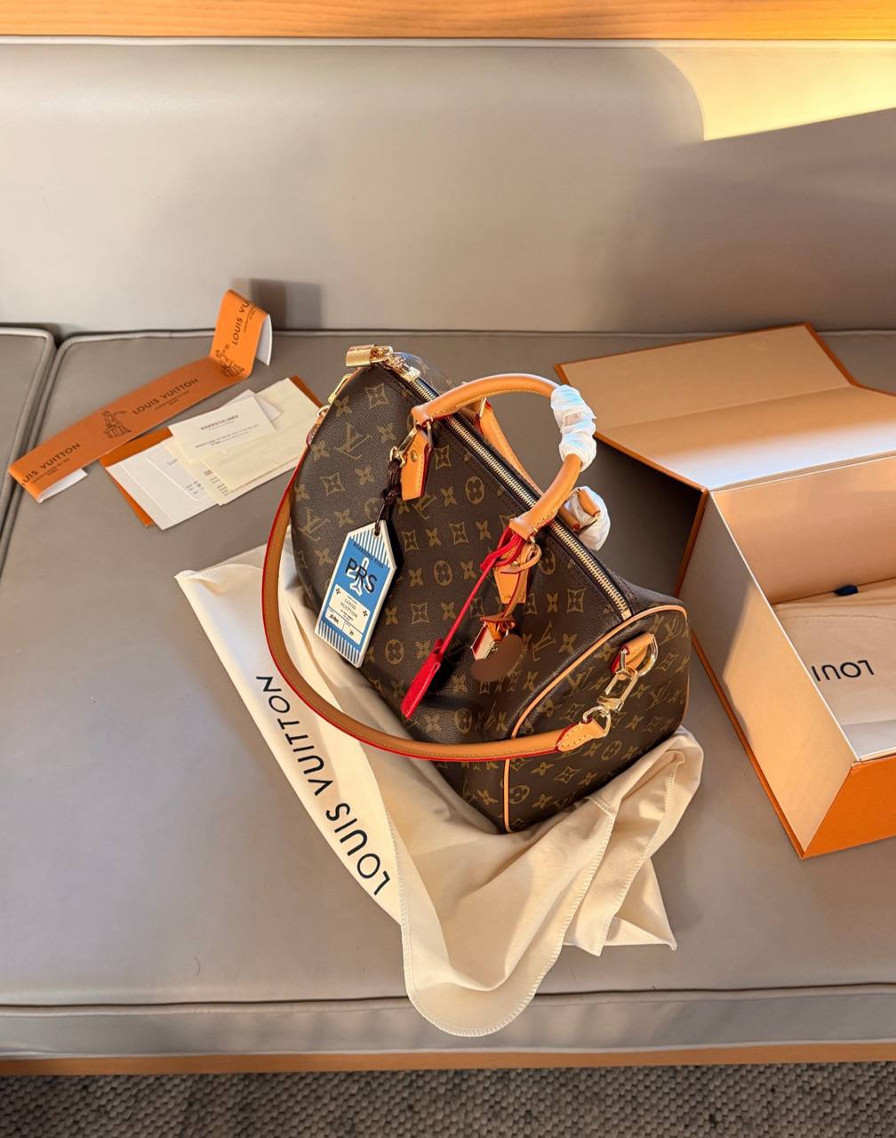 Сумка Louis Vuitton Speedy