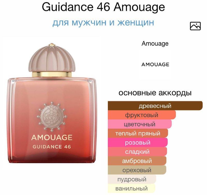 Amouage Guidance 46