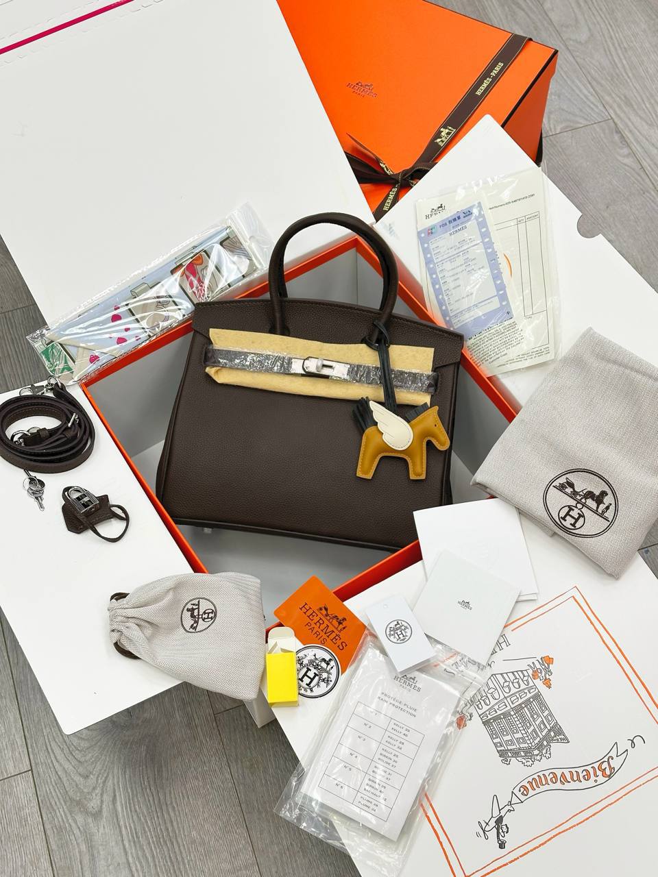 Сумка Hermes Birkin