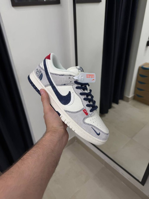 Nike Dunk & The North Face