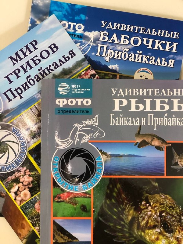 Не все бабочки капустницы