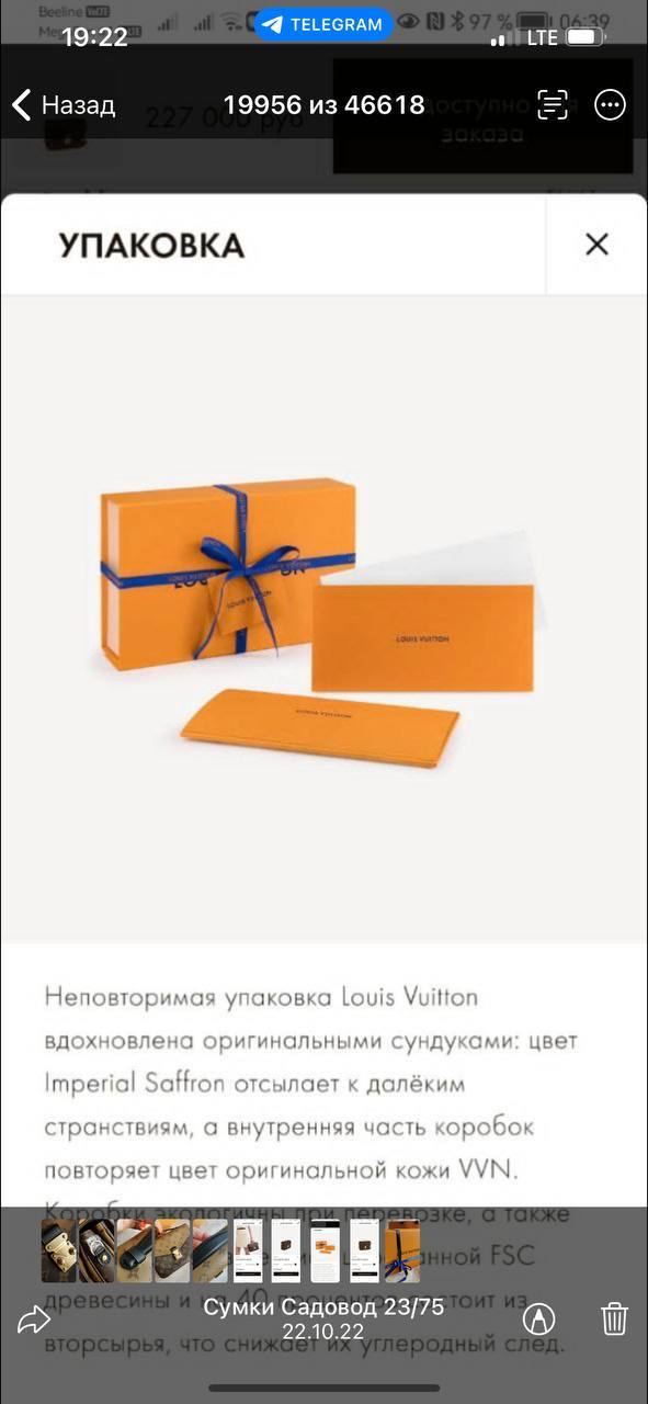Сумка Louis Vuitton
