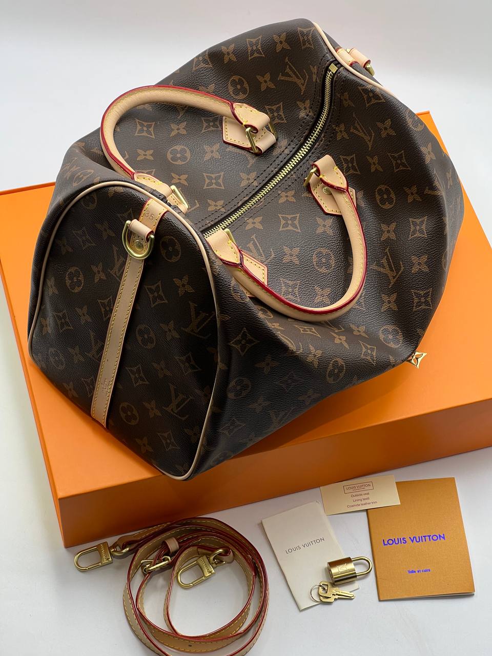 Сумка Louis Vuitton Speedy