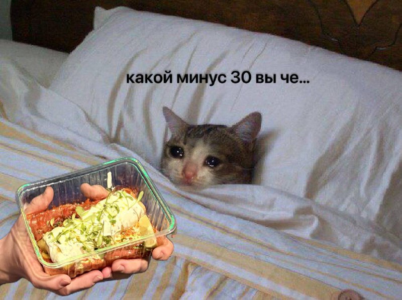 Все, кто сегодня дома - молодцы, а остальным соболезную…