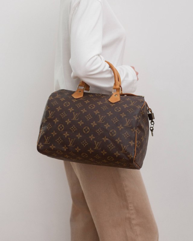Сумка Louis Vuitton Monogram Speedy 30