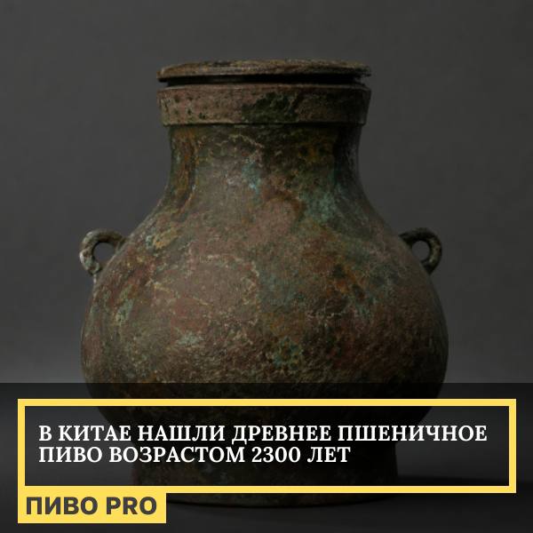 Китайские ученые обнаружили в бронзовом сосуде из гробниц…