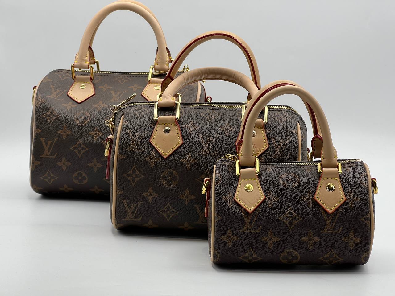 Сумка Louis Vuitton Speedy