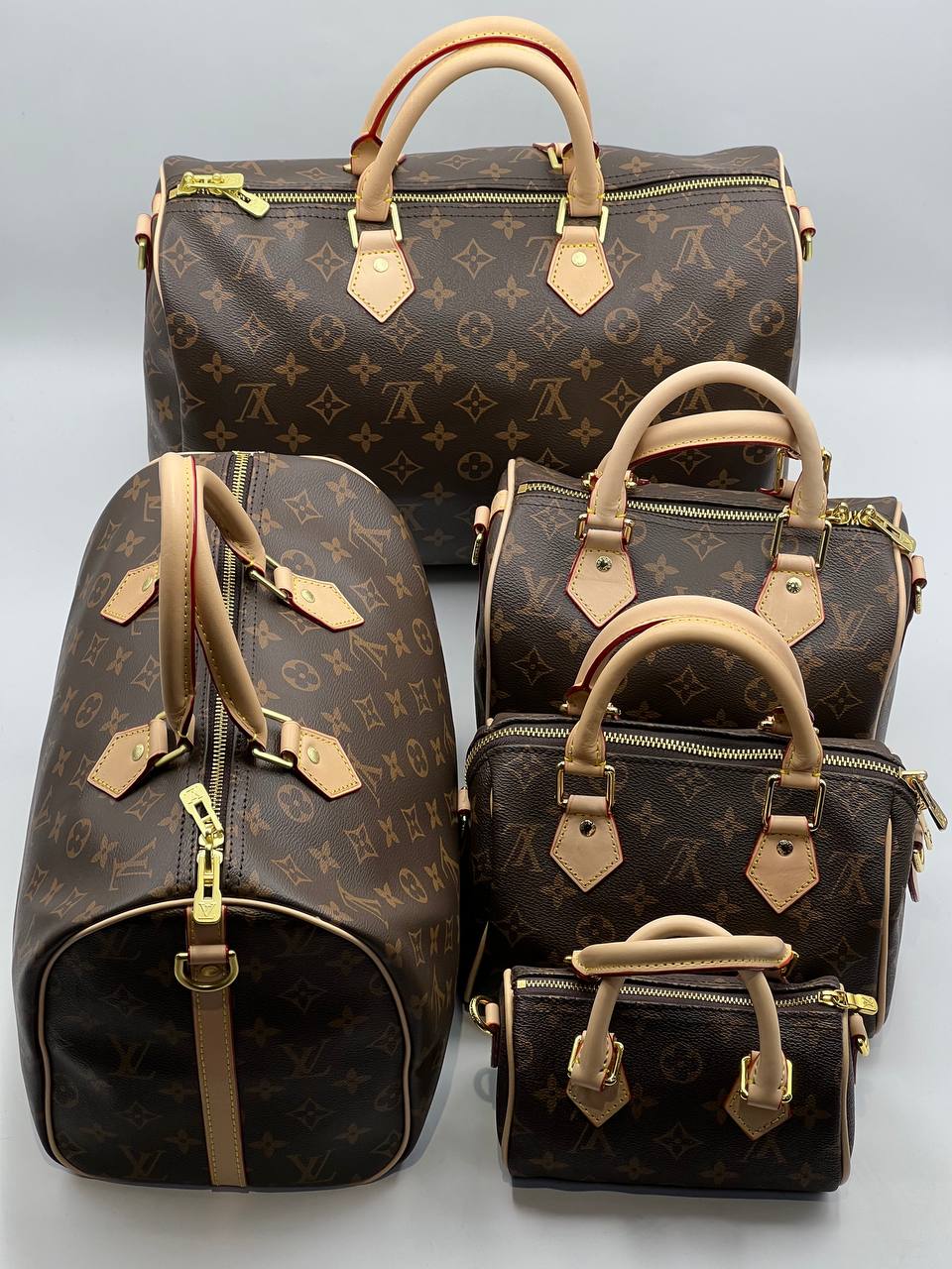 Сумка Louis Vuitton Speedy
