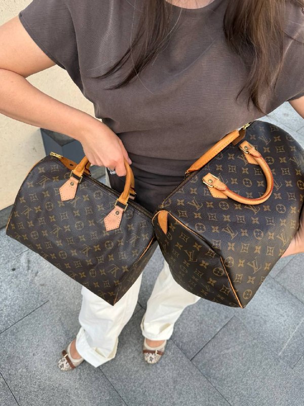 Сумка Louis Vuitton Speedy 30