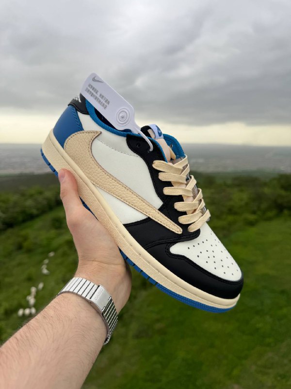 Nike & Travis Scott & Fragment